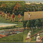 HONESDALE PA CAMP ROSE LAKE GIRLS in ACTION VINTAGE POSTCARD