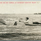 ROXBURY BOSTON MA FISHING EXAGGERATED ANTIQUE POSTCARD