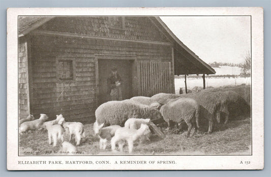 HARTFORD CT ELIZABETH PARK ANTIQUE POSTCARD farming