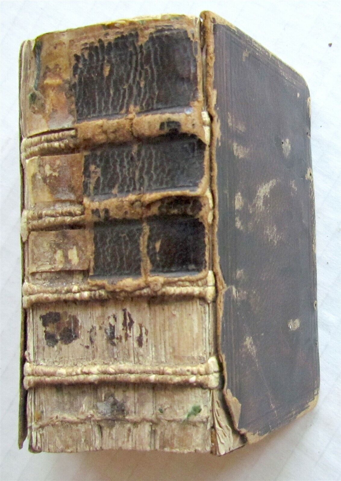 1584 BIBLE by Christopher PLANTIN BIBLIA LATINA antique NEW TESTAMENT