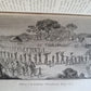 1877 AFRICAN VOYAGE by George SCHWEINFURTH antique ILLUSTRATED w/ PLATES & MAP