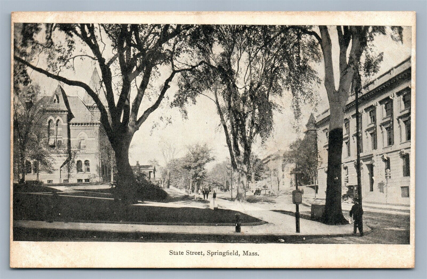 SPRINGFIELD MA STATE STREET ANTIQUE UNDIVIDED POSTCARD