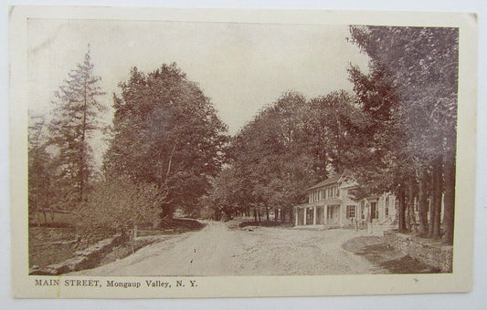 VINTAGE POSTCARD - MAIN STREET MONGAUP VALLEY NY scene New York