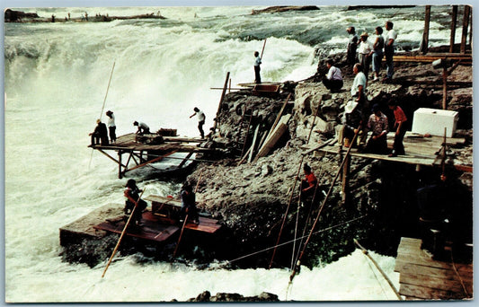 AMERICAN INDIANS NETTING FISH CELILO FALLS OREGON WASHINGTON VINTAGE POSTCARD