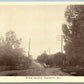 LEESPORT PA PIKE ROAD ANTIQUE UNDIVIDED POSTCARD