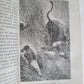 1877 AFRICAN VOYAGE by George SCHWEINFURTH antique ILLUSTRATED w/ PLATES & MAP