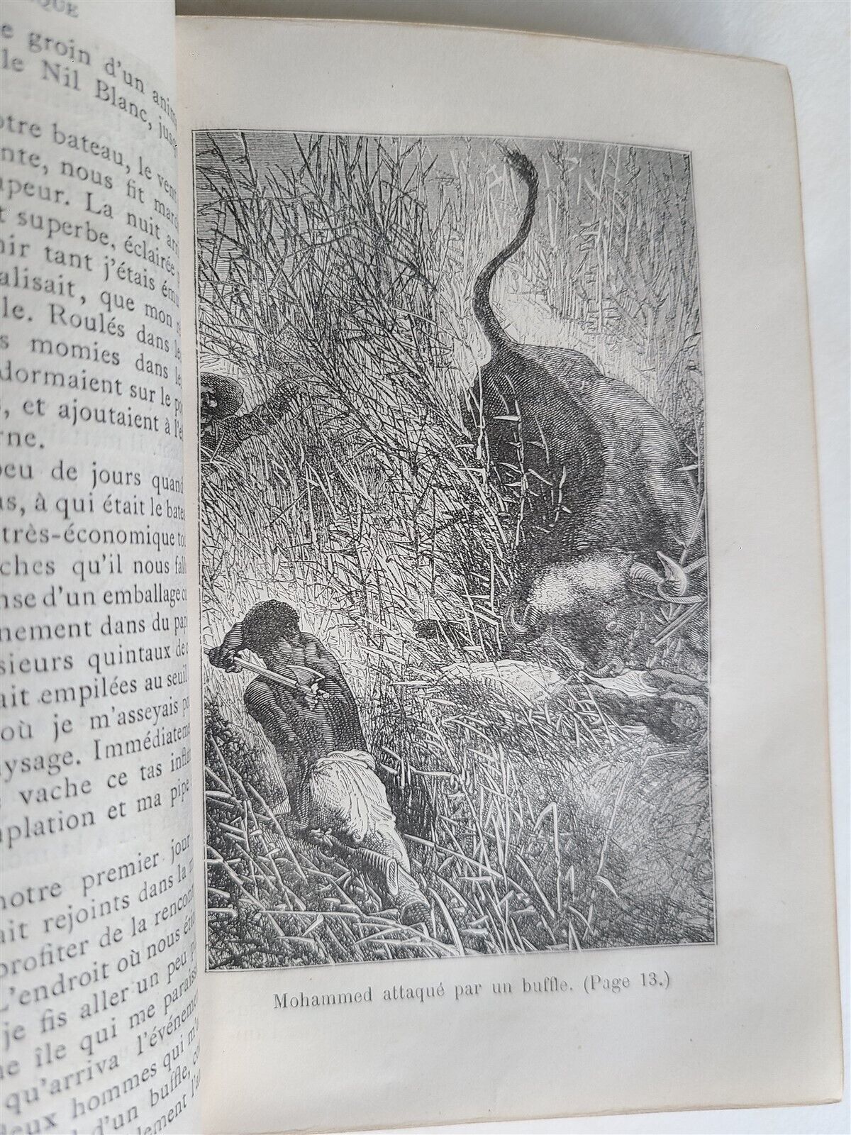 1877 AFRICAN VOYAGE by George SCHWEINFURTH antique ILLUSTRATED w/ PLATES & MAP