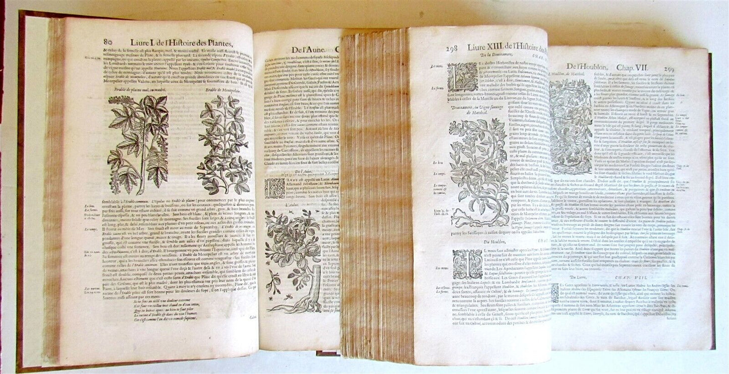 1615 HISTORY of PLANTS by Jacques DALECHAMPS ILLUSTRATED 2 FOLIO VOLUMES antique