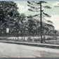HEMPSTEAD LONG ISLAND NY BELMONT POND ANTIQUE POSTCARD