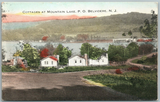 BELVIDERE NJ COTTAGES AT MOUNTAIN LAKE ANTIQUE POSTCARD