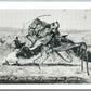 EXAGGERATED VINTAGE POSTCARD HOPPER & SADDLE