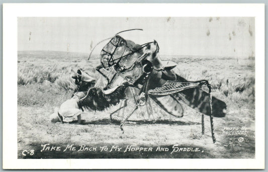 EXAGGERATED VINTAGE POSTCARD HOPPER & SADDLE