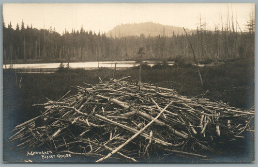 ADIRONDACK NY BEAVER HOUSE ANTIQUE REAL PHOTO POSTCARD RPPC