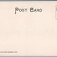 HOMER NY DAVID HARUM HOMESTEAD UNDIVIDED ANTIQUE POSTCARD