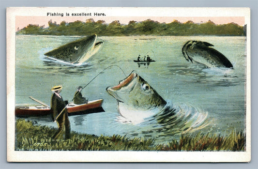 EXAGGERATED FISH ANTIQUE POSTCARD FISHING IS EXCELLENT HERE