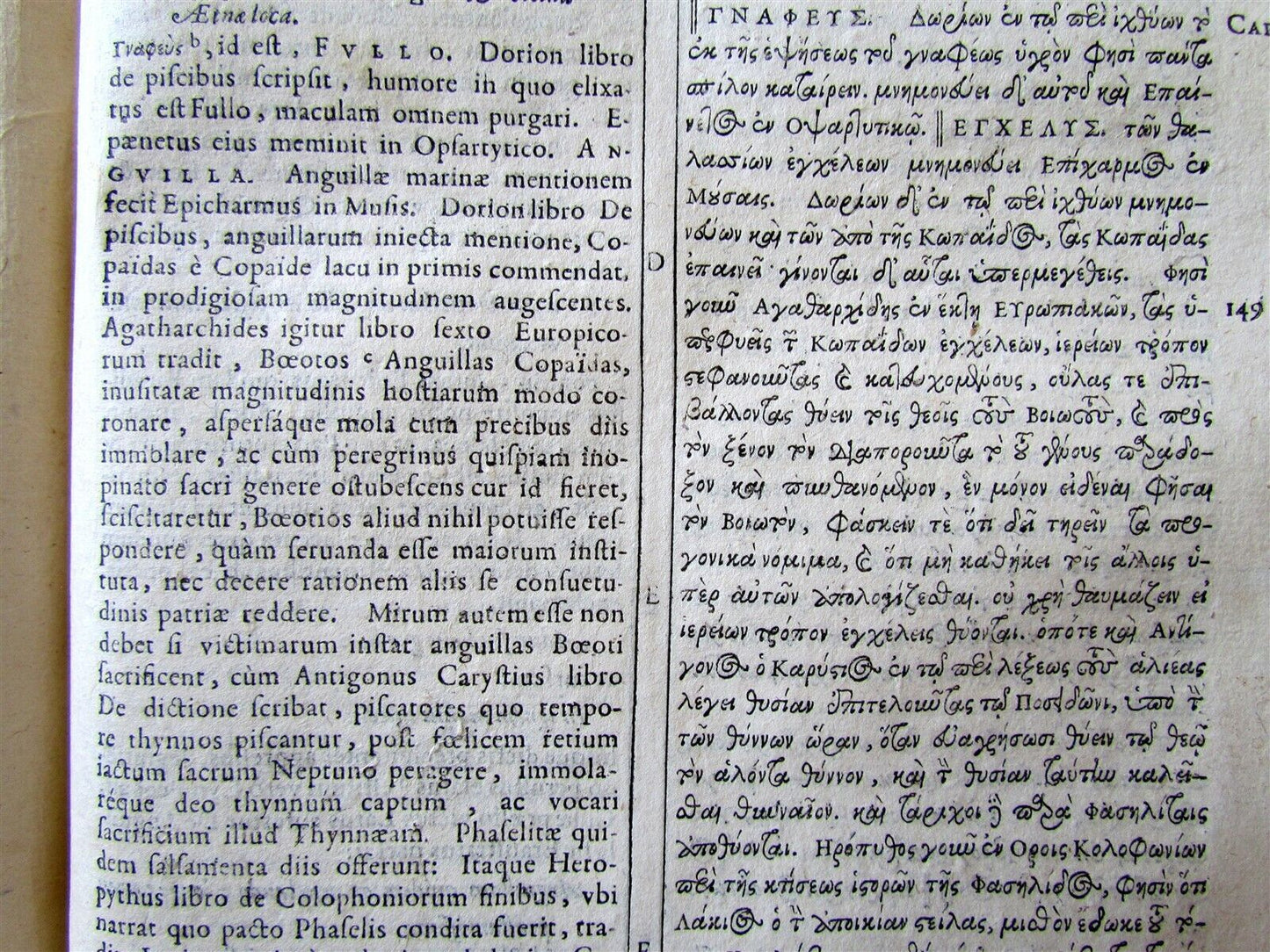 1612 DEIPNOSOPHISTAE GREEK LATIN antique FOLIO Banquet of Learned COOKBOOK RARE