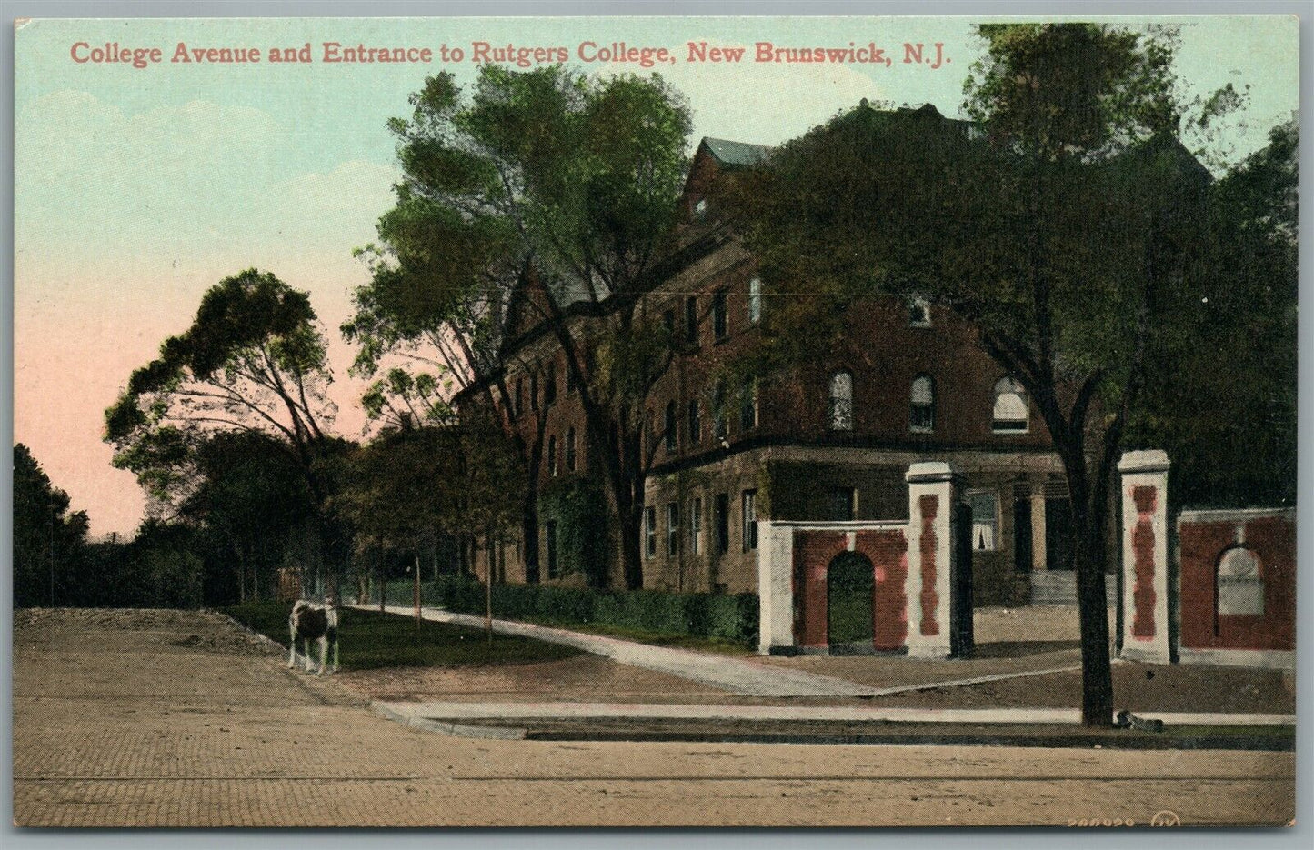 NEW BRUNSWICK NJ COLLEGE AVENUE ANTIQUE POSTCARD