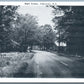 COHOCTON NY ROAD SCENE VINTAGE POSTCARD