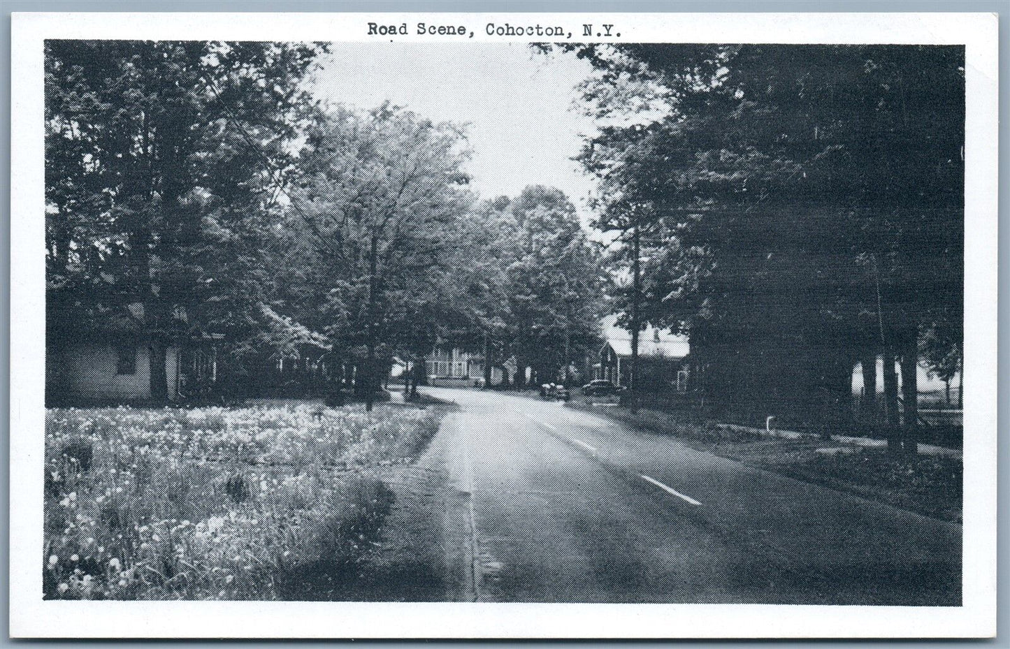 COHOCTON NY ROAD SCENE VINTAGE POSTCARD