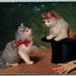 CATS KITTENS in HAT ANTIQUE POSTCARD