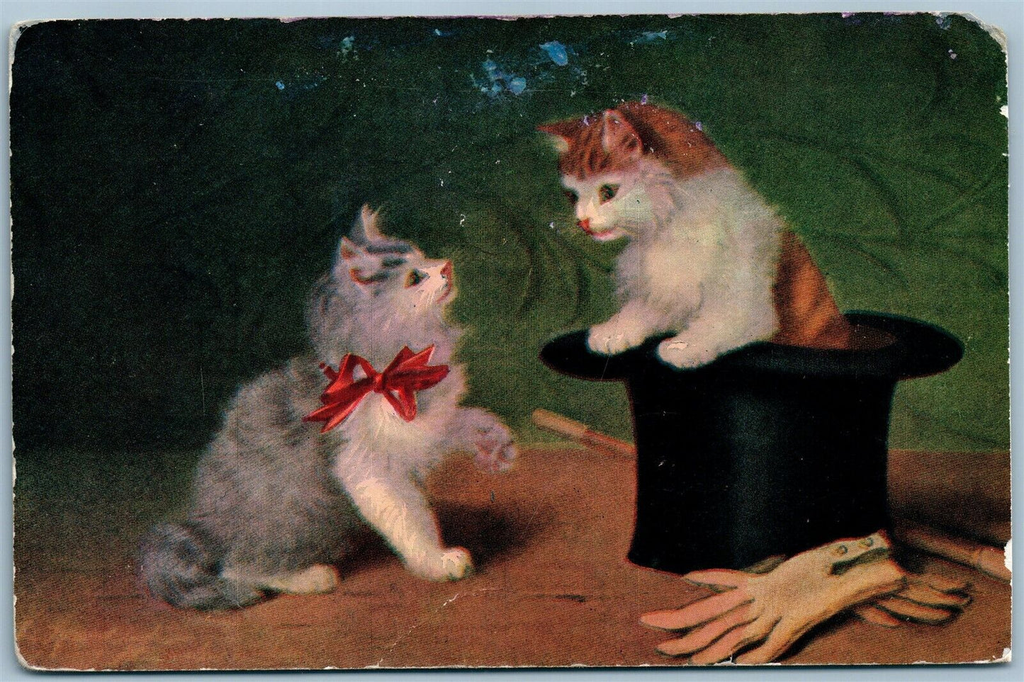 CATS KITTENS in HAT ANTIQUE POSTCARD