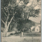PROVINCETOWN MA KENDALL LANE ANTIQUE POSTCARD