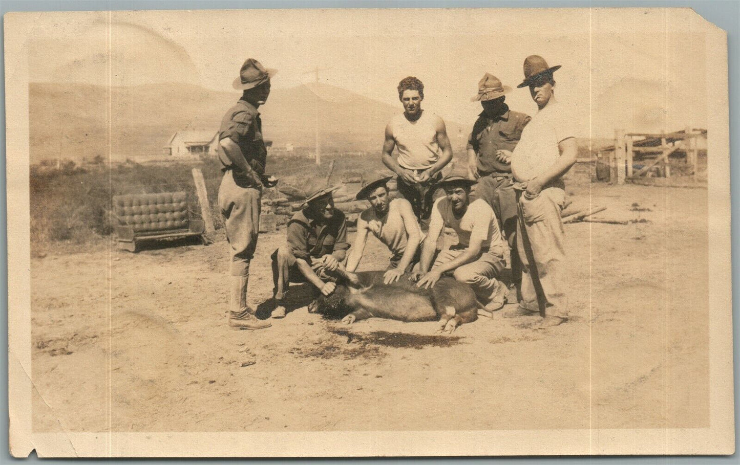 MEXICAN WAR AMERICAN CAMP SOLDIERS w/ PIG ANTIQUE real PHOTO