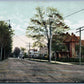 BINGHAMPTON NY RIVERSIDE DRIVE 1907 ANTIQUE POSTCARD