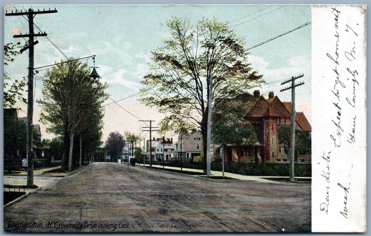 BINGHAMPTON NY RIVERSIDE DRIVE 1907 ANTIQUE POSTCARD