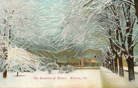 WARREN PA WINTER SCENE 1909 ANTIQUE POSTCARD