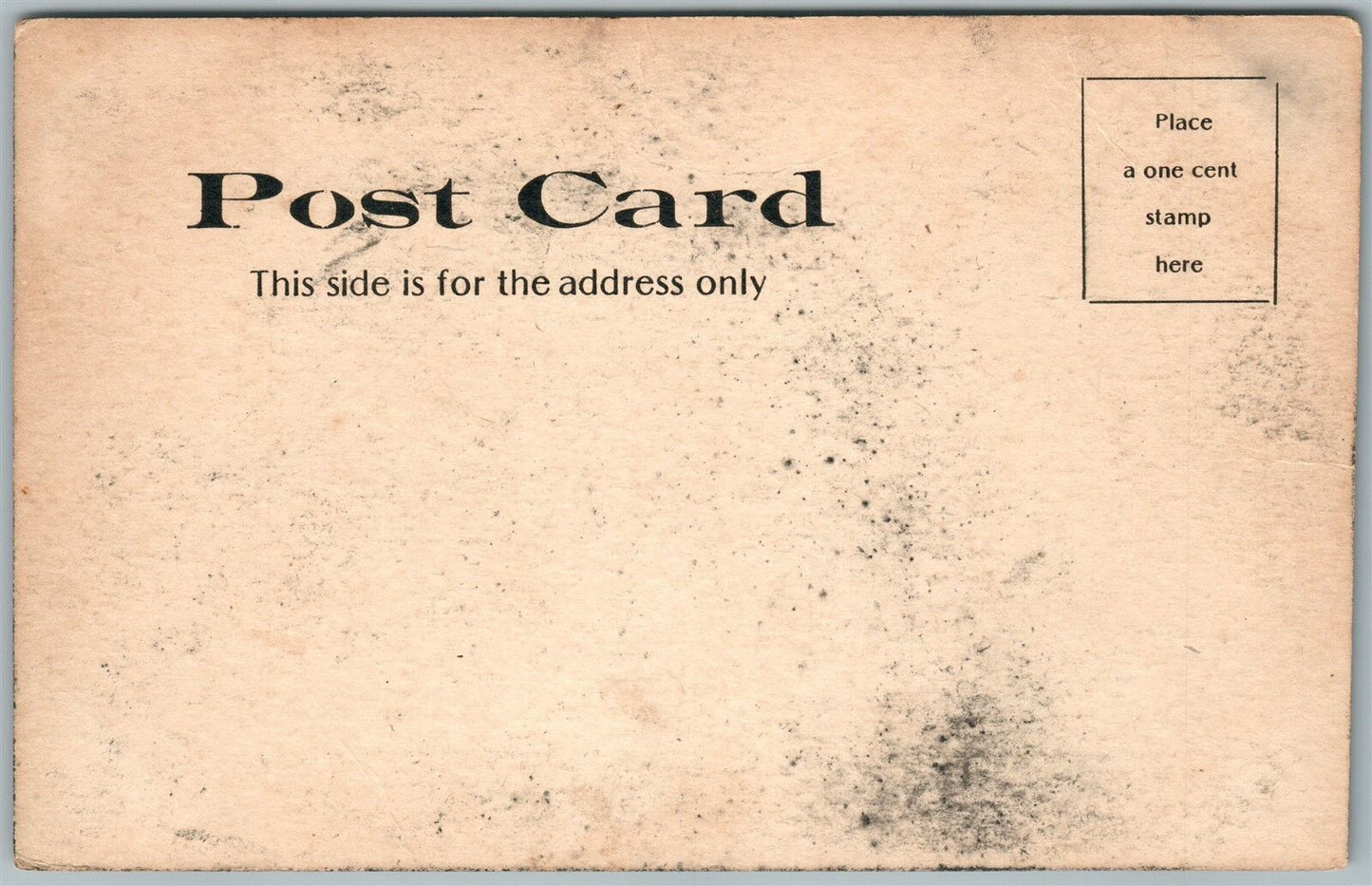 ALDENVILLE VILLAGE PA WAYNE CO. UNDIVIDED ANTIQUE POSTCARD