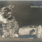 KITTEN w/ BREAD ANTIQUE REAL PHOTO POSTCARD RPPC