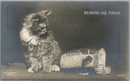 KITTEN w/ BREAD ANTIQUE REAL PHOTO POSTCARD RPPC