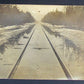 RPPC VINTAGE PHOTO POSTCARD - RAILWAY IN SWAMP railroad train