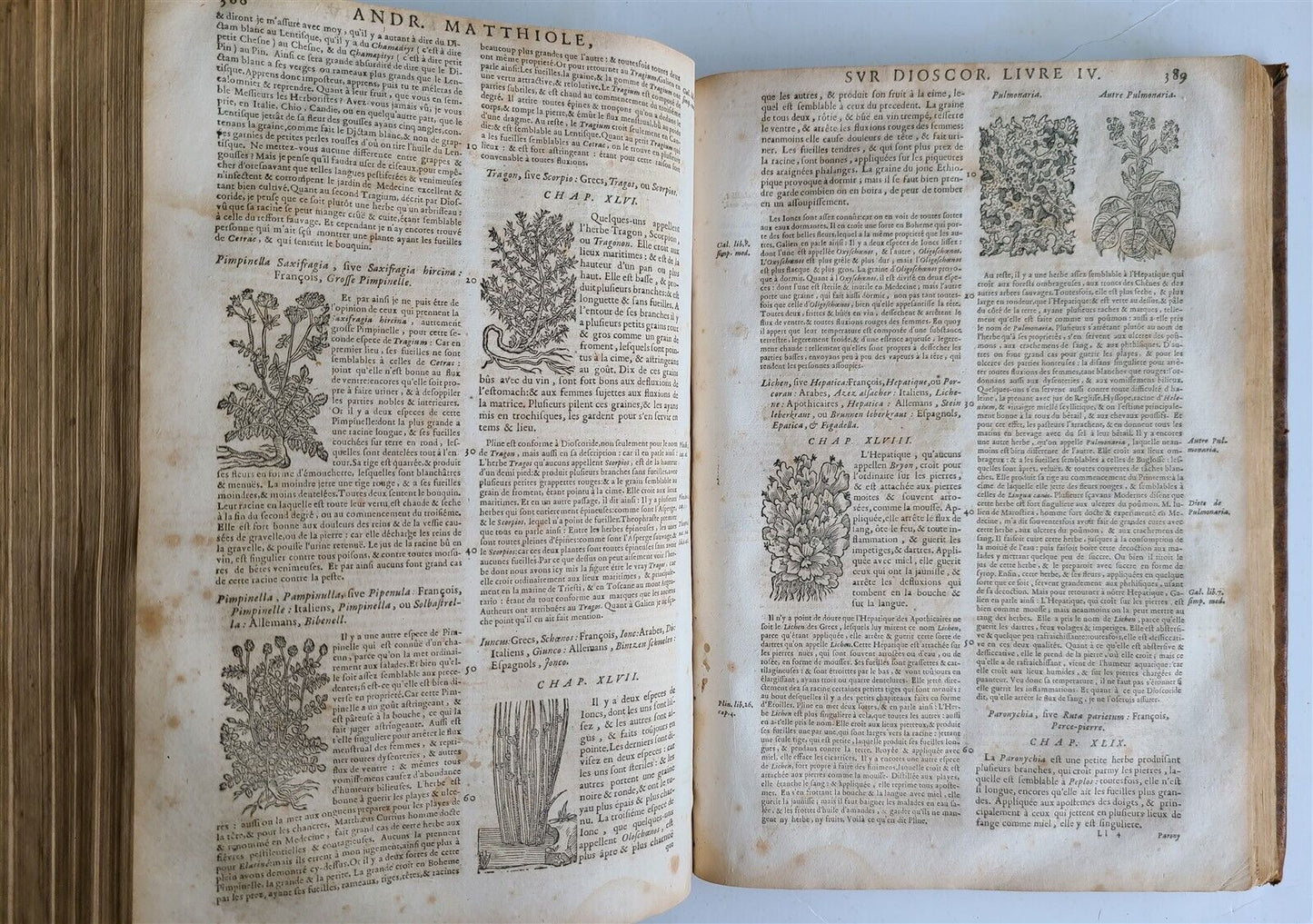 1680 MEDICAL PLANTS ILLUSTRATED w/ 1478 woodcuts antique by Mattioli FOLIO rare