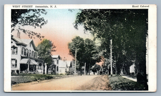 ANNANDALE NJ WEST STREET ANTIQUE POSTCARD