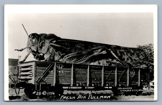 EXAGGERATED GRASSHOPER RAILROAD CAR VINTAGE REAL PHOTO POSTCARD RPPC GARDEN CITY