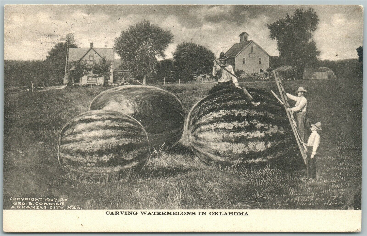 CARVING WATERMELONS IN OKLAHOMA EXAGGERATED 1908 ANTIQUE POSTCARD