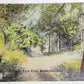 VINTAGE POSTCARD NORTH FORK PARK BROOKVILLE PA