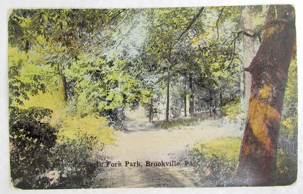 VINTAGE POSTCARD NORTH FORK PARK BROOKVILLE PA