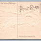 STATE OF MICHIGAN EMBOSSED ANTIQUE POSTCARD by S.LANGSDORF & CO.