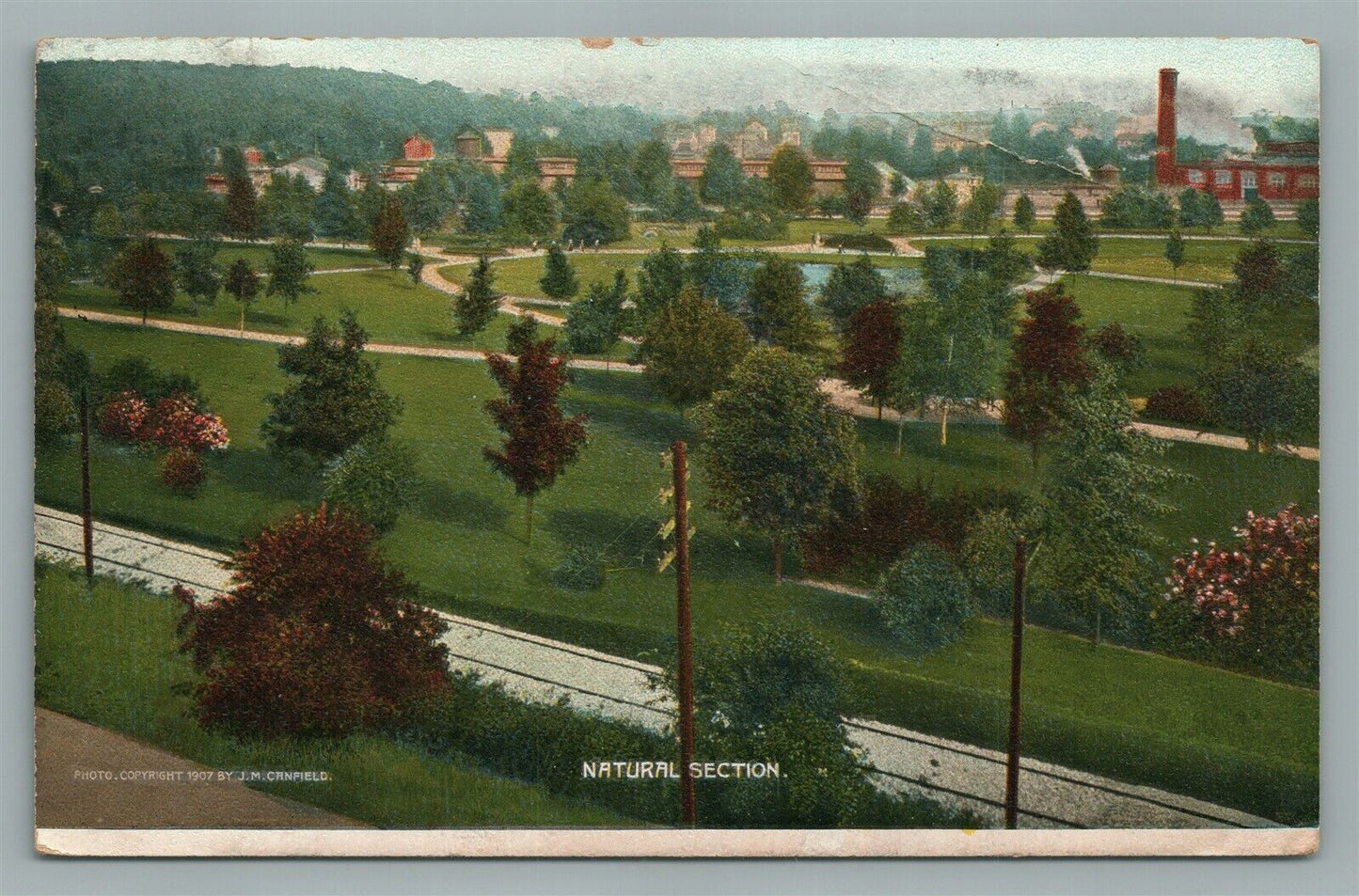 PHILADELPHIA PA WILLOW GROVE PARK NATURAL SECTION ANTIQUE POSTCARD