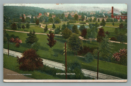 PHILADELPHIA PA WILLOW GROVE PARK NATURAL SECTION ANTIQUE POSTCARD