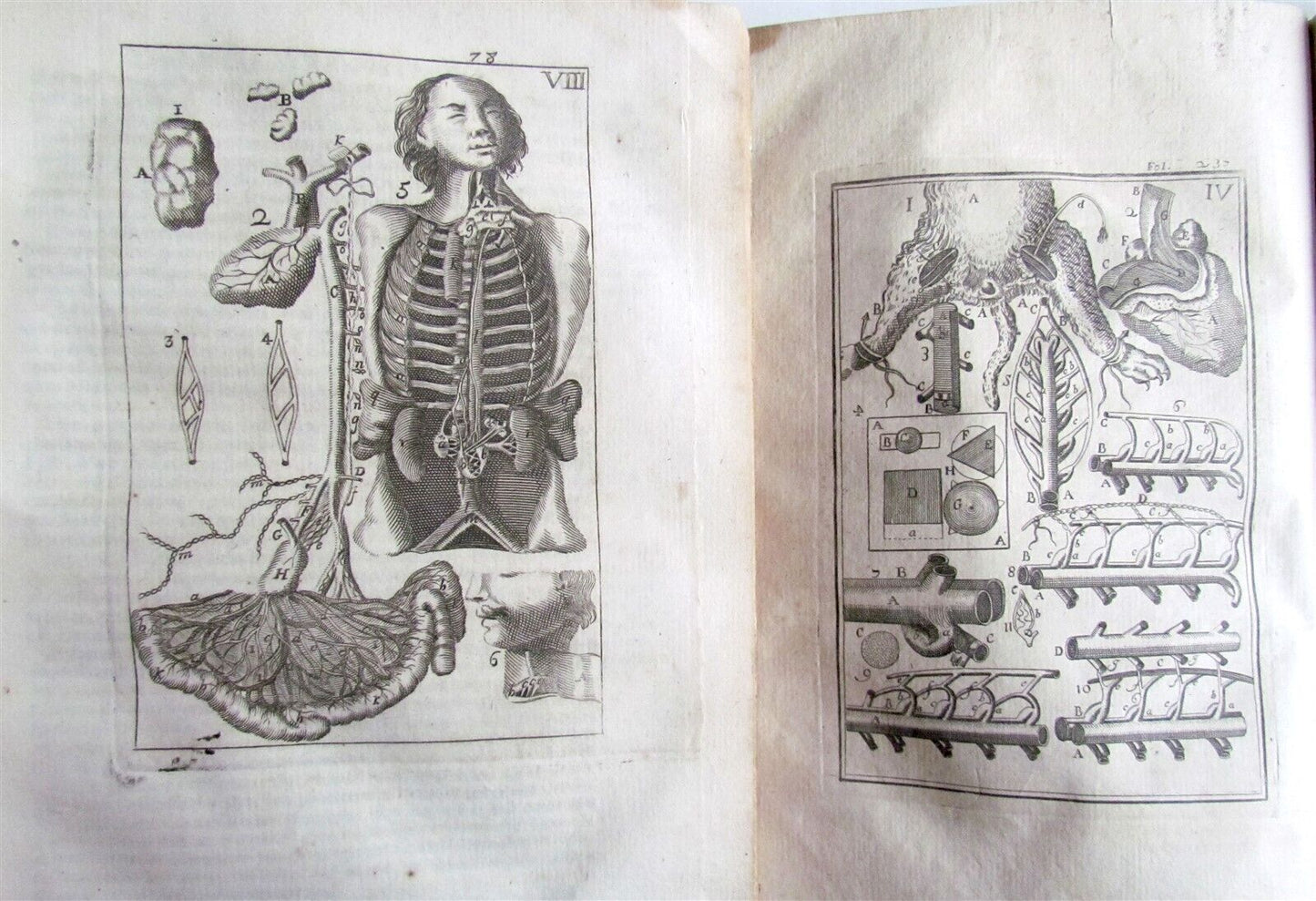 1717 2 VOLUMES ANATOMY ILLUSTRATED CORPORIS HUMANI ANATOMIAE antique in LATIN