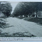 VINTAGE 1909 UNDIVIDED POSTCARD MAPLE RANCH AVENUE LITTLE GENESEE N.Y.
