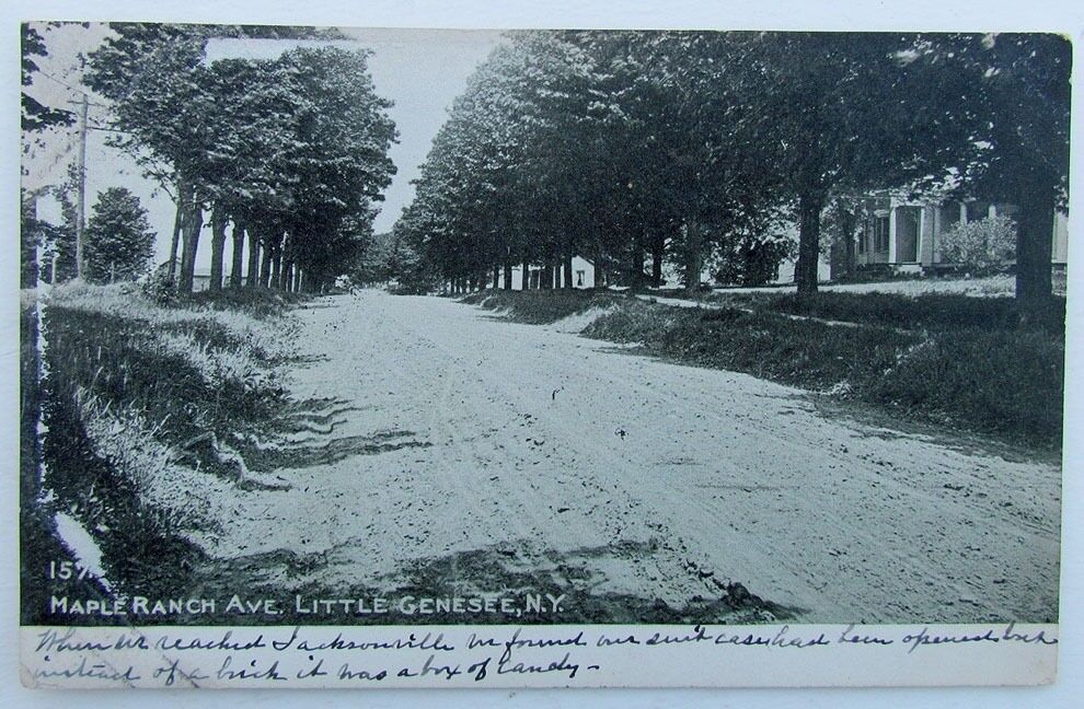 VINTAGE 1909 UNDIVIDED POSTCARD MAPLE RANCH AVENUE LITTLE GENESEE N.Y.