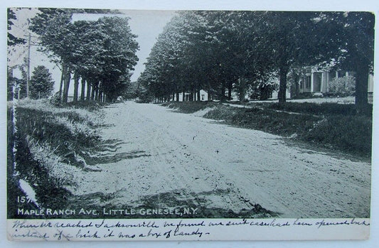 VINTAGE 1909 UNDIVIDED POSTCARD MAPLE RANCH AVENUE LITTLE GENESEE N.Y.