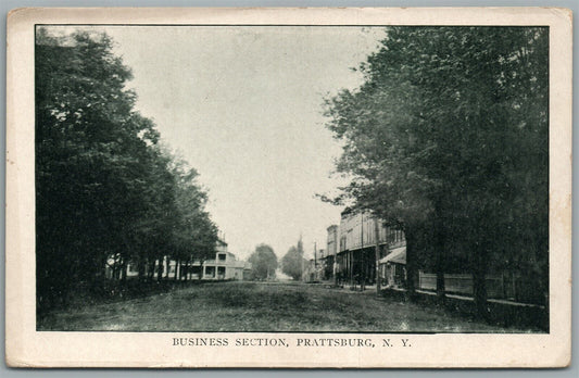 PRATTSBURG NY BUSINESS SECTION ANTIQUE POSTCARD