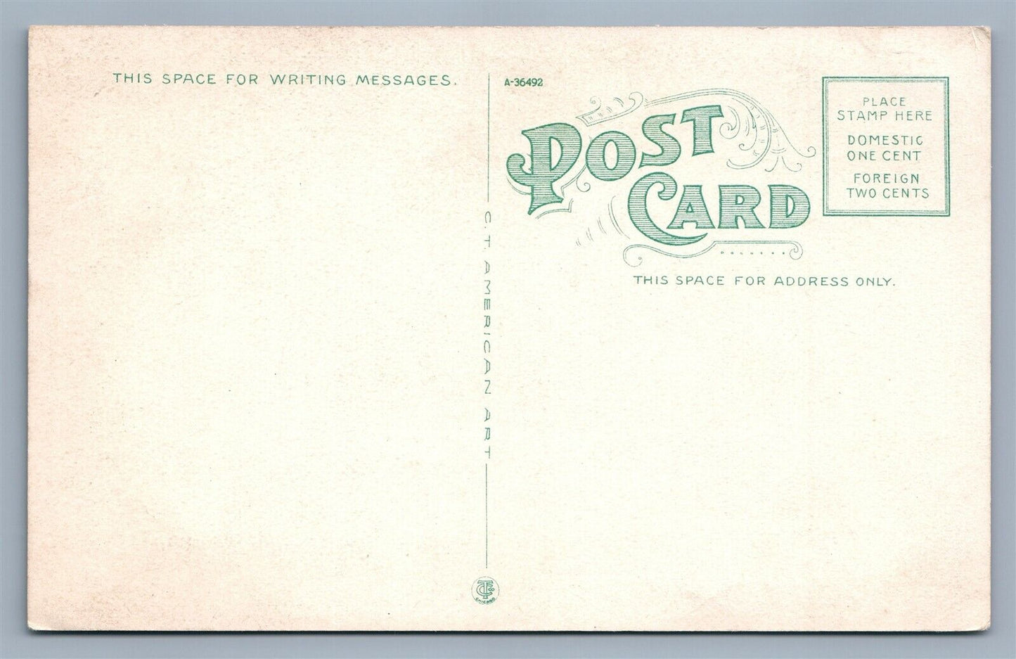 AUBURN NY NEW CAYUGA CO. SAVINGS BANK ANTIQUE POSTCARD