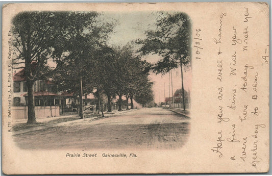 GAINESVILLE FL PRAIRIE STREET ANTIQUE POSTCARD